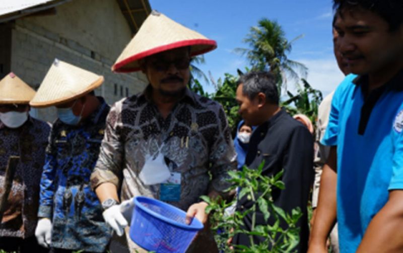 uploads/news/2022/09/panen-perdana-cabai-berkat-2822059a51d7d45.jpg