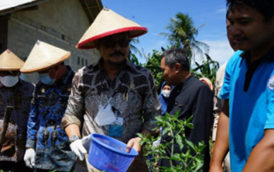 uploads/news/2022/09/panen-perdana-cabai-berkat-2822059a51d7d45_400.jpg