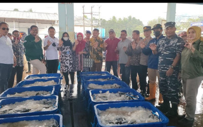 uploads/news/2022/09/strategi-kkp-demi-kestabilan-138743449f14f67_400.jpeg