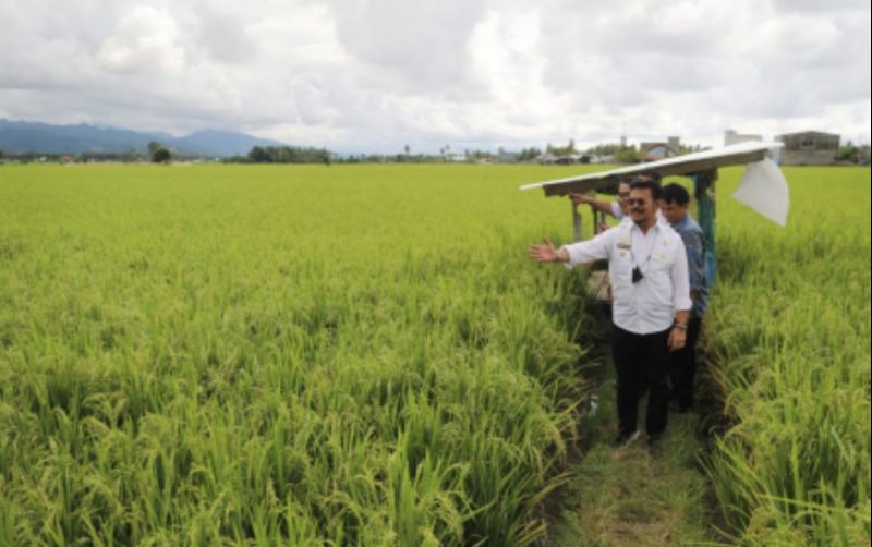 uploads/news/2022/10/biosaka-tingkatkan-hasil-panen-16217783f5d6621.jpg
