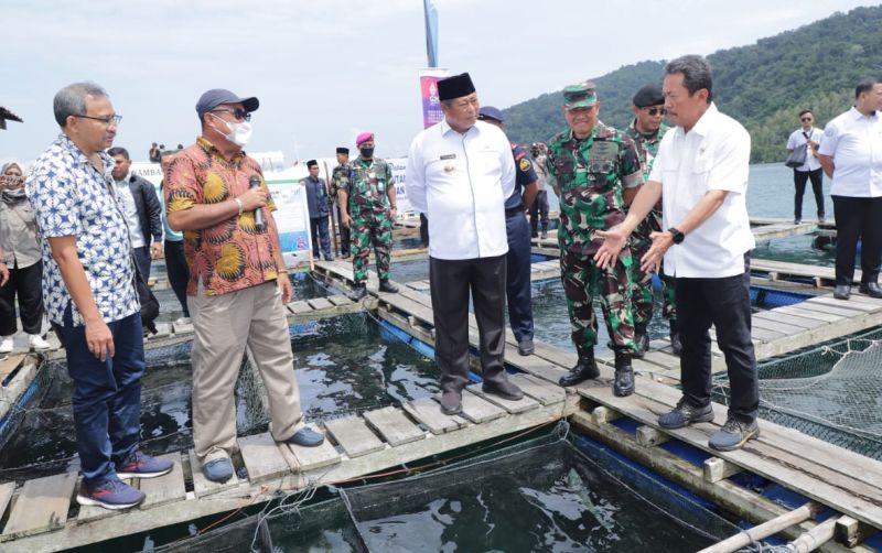 uploads/news/2022/10/ikan-kerapu-komoditi-ekspor-95000e66869462e.jpeg