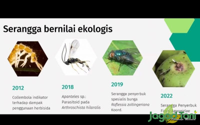 uploads/news/2022/10/serangga-hutan-dan-strategi-916156c2b0253e9_400.jpg