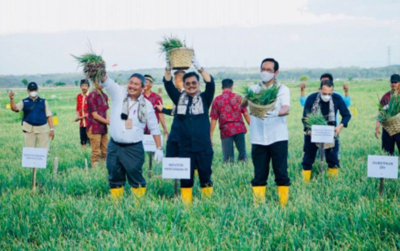 uploads/news/2022/10/syl-sri-sultan-832086906339eaa.jpg