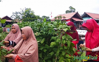 uploads/news/2022/10/wanita-tani-diharapkan-jadi-66055874d2b07cc_400.jpg