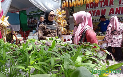 uploads/news/2022/11/agroexpo-pertanian-dorong-semangat-80428fa482f8679_400.jpg