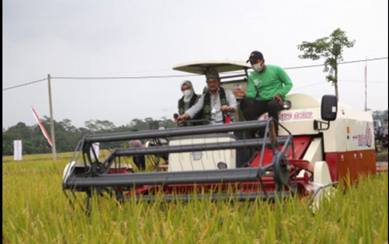 uploads/news/2022/11/biosaka-bikin-panen-padi-72096ded544f1cd.jpg