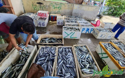 uploads/news/2022/11/hasil-perikanan-parimo-capai-69316f73d1e518e_400.jpeg