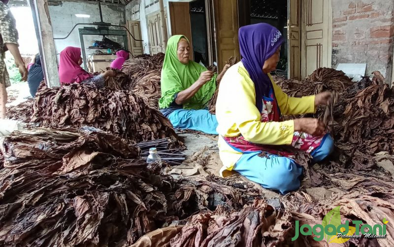 uploads/news/2022/11/konsumsi-telur-kalah-cukai-58109681b4a315a.jpg