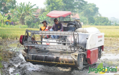 uploads/news/2022/11/panen-raya-padi-program-11559d736b241ef_400.jpg