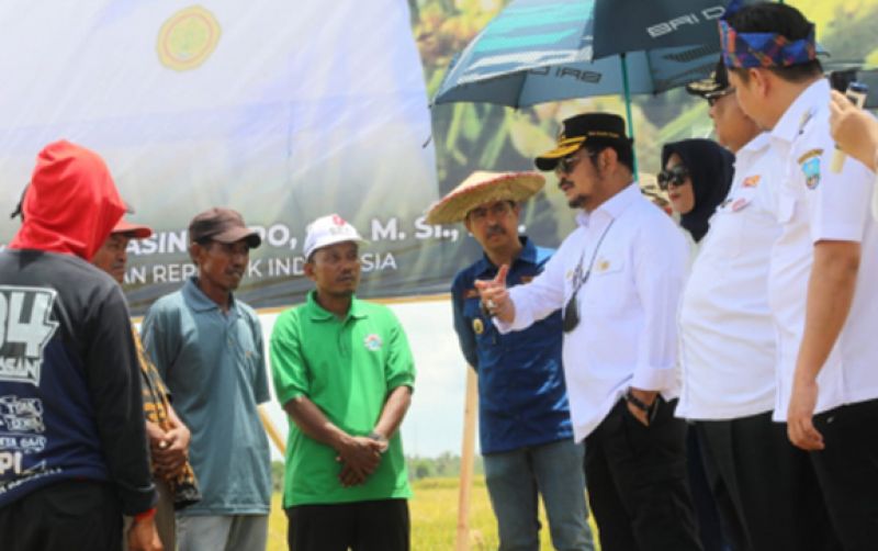 uploads/news/2022/11/panen-raya-produktivitas-petani-669590032bdb280.jpg