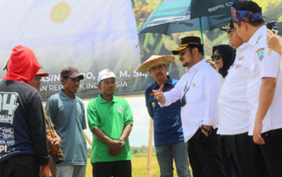 uploads/news/2022/11/panen-raya-produktivitas-petani-669590032bdb280_400.jpg