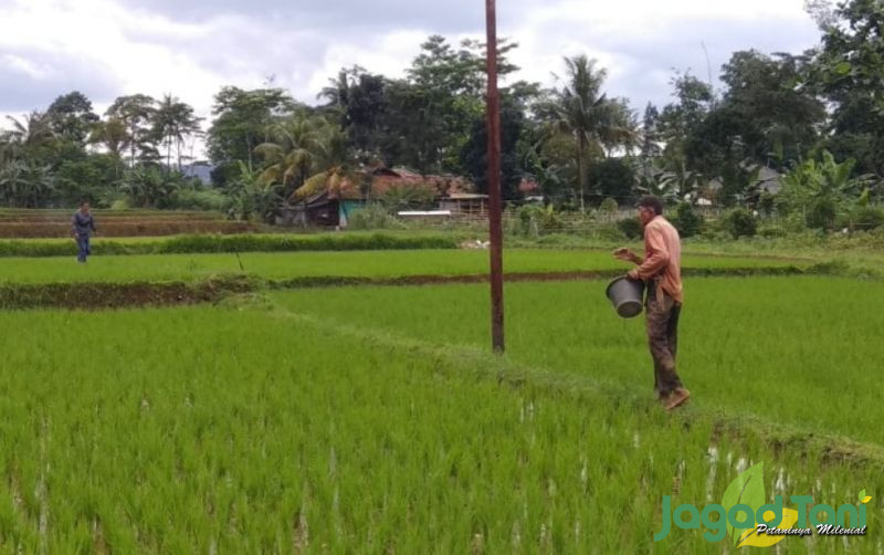 uploads/news/2022/11/peran-petani-pahlawan-dalam-5567480f2c45849.jpg