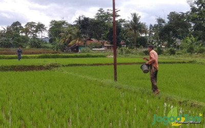 uploads/news/2022/11/peran-petani-pahlawan-dalam-5567480f2c45849_400.jpg