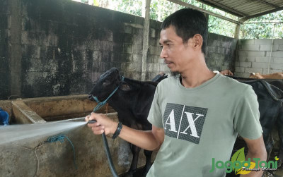 uploads/news/2022/11/ternak-sapi-lebih-menguntungkan-33503907788c962_400.jpg
