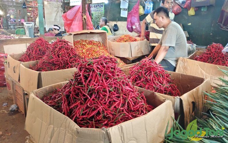 uploads/news/2022/12/nataru-asosiasi-cabai-indonesia-52237794c20ec7f.jpg