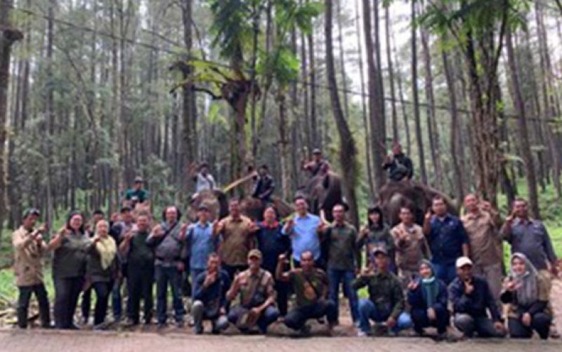 uploads/news/2022/12/relokasi-dua-gajah-sumatera-628747d6a2fb903.jpg