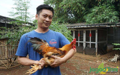 uploads/news/2023/01/bisnis-menguntungkan-ayam-kampung-8436071afcef649_400.jpeg