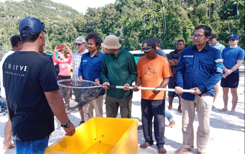 uploads/news/2023/01/kkp-lepasliarkan-hiu-belimbing-66867ce3fc5a720.jpeg