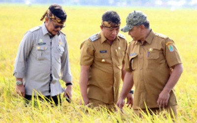 uploads/news/2023/01/panen-raya-perdana-hasil-584439349fdf9d6_400.jpg