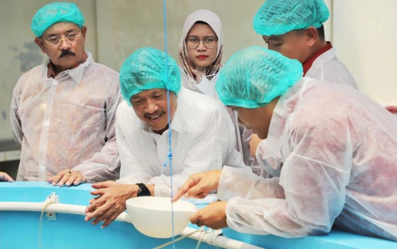 uploads/news/2023/01/program-udang-nusa-dewa-597013ec711c54a.jpeg
