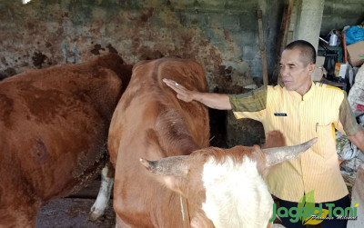 uploads/news/2023/01/sapi-terjangkit-penyakit-lsd--578681bd2a1816b_400.jpg
