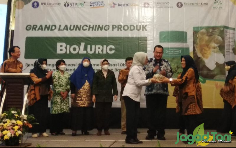 uploads/news/2023/01/sidaguri-obat-herbal-untuk-16633384d3cd6db.jpg