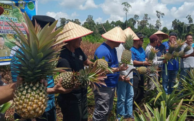 uploads/news/2023/02/bbksda-riau-monitoring-sambil-8027624fe0cc74e_400.jpg