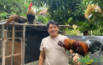 uploads/news/2023/02/ibha-farms-sukses-beternak-98994585de342dd_400.jpg