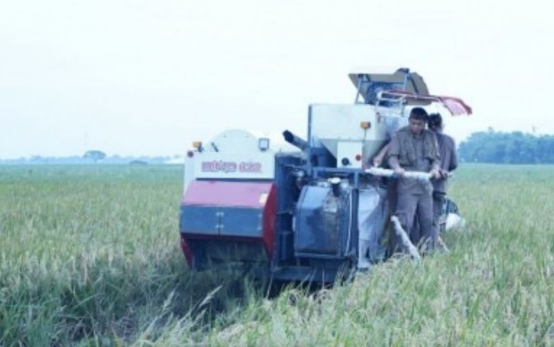 uploads/news/2023/02/panen-raya-karawang-stok-33191aa73be17bb.jpg