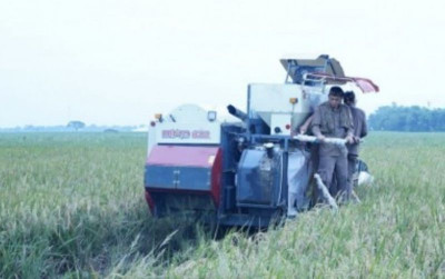 uploads/news/2023/02/panen-raya-karawang-stok-33191aa73be17bb_400.jpg