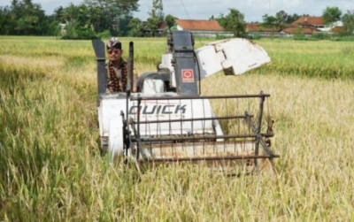 uploads/news/2023/02/panen-raya-stok-beras-35053e4715a66b7_400.jpg