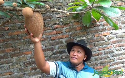 uploads/news/2023/02/petani-klaten-sukses-budidaya-40068c295286b89_400.jpg
