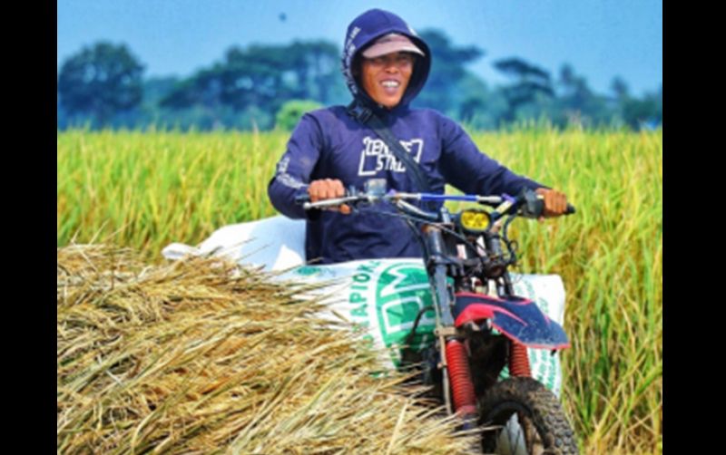 uploads/news/2023/02/sukses-usaha-penggilingan-beras-23313b57fc9eb73.jpg