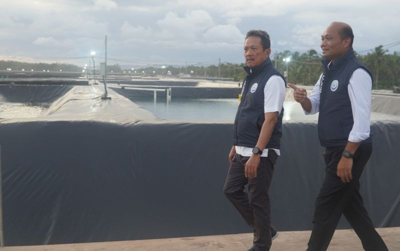 uploads/news/2023/03/budidaya-ikan-nila-dikembangkan-241811dc168becc.jpeg
