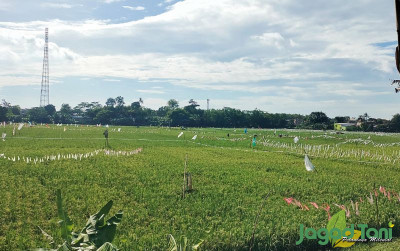 uploads/news/2023/03/hidrometeorologi-bikin-khawatir-petani-332332a6a28bc8b_400.jpg