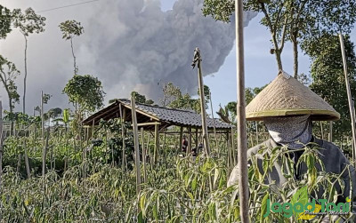 uploads/news/2023/03/hujan-abu-merapi-panen-5772233da502813_400.jpg