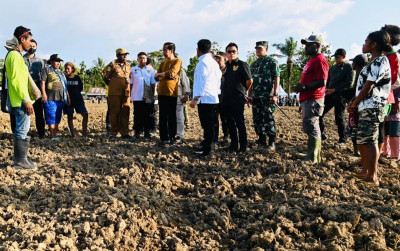 uploads/news/2023/03/jagung-jadi-harapan-besar-84460a3a9b5d5e3_400.jpeg