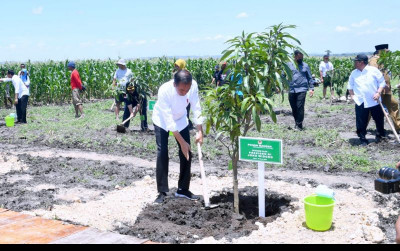uploads/news/2023/03/jokowi-pimpin-tanam-mangga-31561df72c7082e_400.jpeg