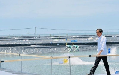 uploads/news/2023/03/jokowi-resmikan-tambak-udang-98429596524cb6a_400.jpg