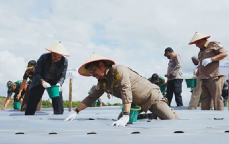 uploads/news/2023/03/mentan-syl-resmikan-kawasan-741496f1624fb18.jpg