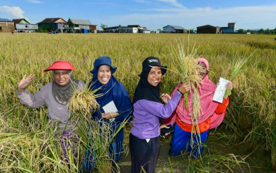 uploads/news/2023/03/panen-raya-maros-lumbung-487836061877132_400.jpeg
