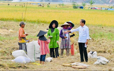 uploads/news/2023/03/petani-panen-padi-jokowi-673655a35f787dc_400.png