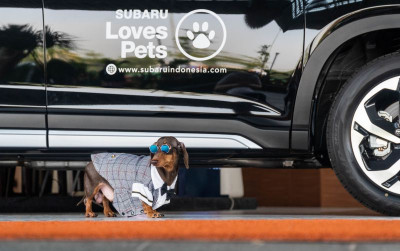 uploads/news/2023/03/subaru-loves-pets-gandeng-176692c7da83485_400.jpg