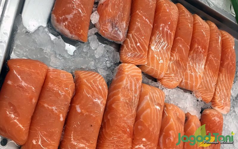 uploads/news/2023/04/4-ikan-penurun-kolesterol-626407882ced4d7.jpg