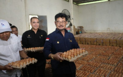 uploads/news/2023/04/jelang-lebaran-stok-daging-31719e57889ba4c_400.jpg