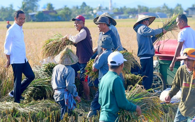 uploads/news/2023/04/panen-raya-merata-harga-55364d21d144f8f.jpeg