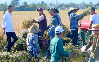 uploads/news/2023/04/panen-raya-merata-harga-55364d21d144f8f_400.jpeg