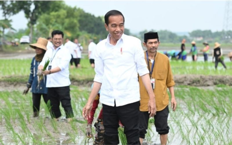 uploads/news/2023/04/percepatan-masa-tanam-jokowi-12172a19da5dee9.jpg