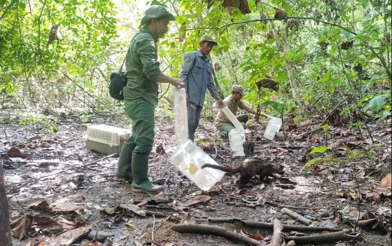 uploads/news/2023/04/pulau-sempu-lokasi-konservasi-1321993d3babf30.jpg