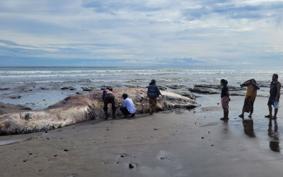uploads/news/2023/04/sanksi-manfaatkan-minyak-bangkai-704548a62a93b52_400.jpeg